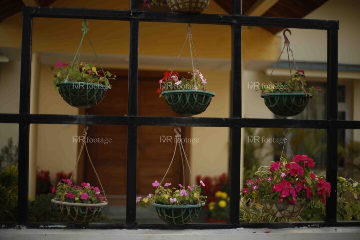 Beautiful fronyard of a house, flower tub hanging - WM